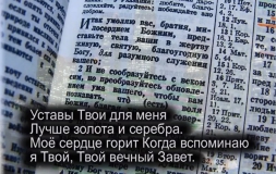 Христианское поклонение. Сборник №14