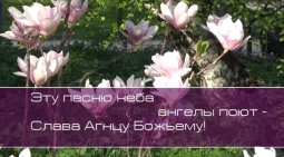 Христианское поклонение. Сборник №48