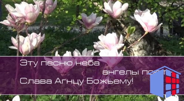 Христианское поклонение. Сборник №48