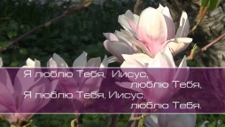 Христианское поклонение. Сборник №54