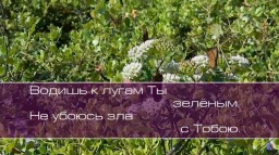 Христианское поклонение. Сборник №64