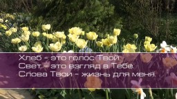 Христианское поклонение. Сборник №66