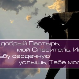 Христианское поклонение. Сборник №110