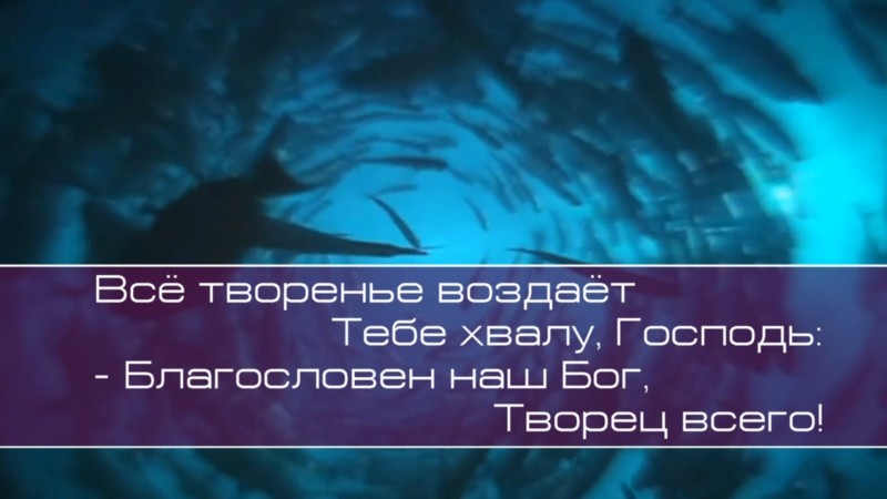 Христианское поклонение. Сборник №90